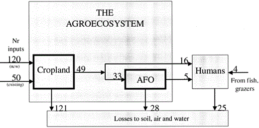 Major reactive nitrogen (Nr) flows in crop production and animal production components of the global agroecosystem. Croplands create vegetable protein through primary production; animal production utilizes secondary production to create animal protein. Reactive nitrogen inputs represent new Nr, created through the Haber-Bosch process and through cultivation-induced biological nitrogen fixation, and existing Nr that is reintroduced in the form of crop residues, manure, atmospheric deposition, irrigation water, and seeds. Portions of the Nr losses to soil, air, and water are reintroduced into the cropland component of the agroecosystem (Smil 2001, 2002). Numbers represent teragrams of nitrogen per year; AFO, animal feeding operations.